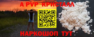 спиды Можга