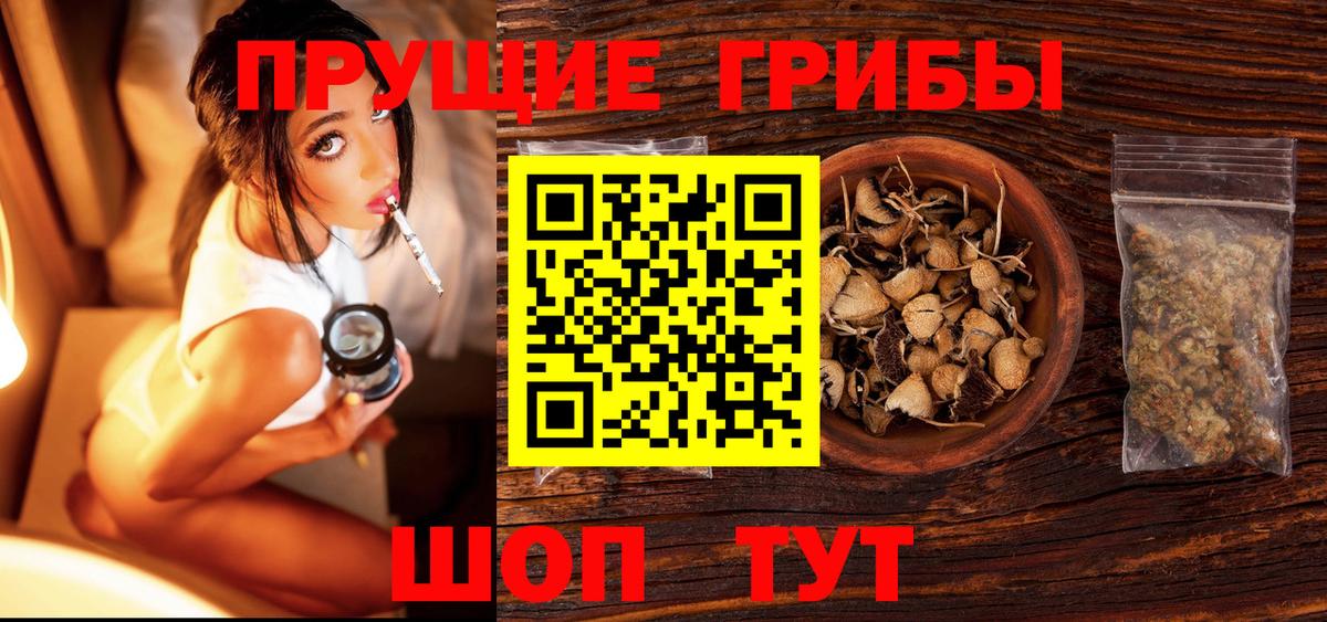 Псилоцибиновые грибы ЛСД  Вход с VPN  Псилоцибиновые грибы Magic Shrooms  Гусиноозёрск 